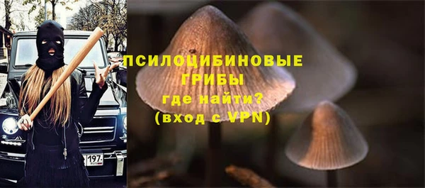 скорость Няндома