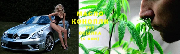 индика Осташков