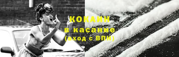 ПСИЛОЦИБИНОВЫЕ ГРИБЫ Новозыбков