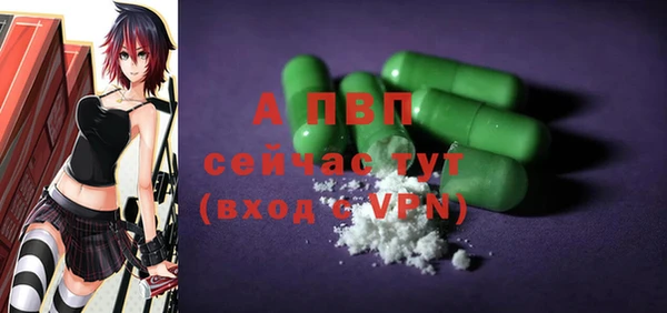 индика Осташков