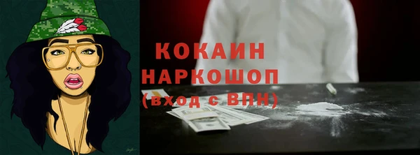 индика Осташков