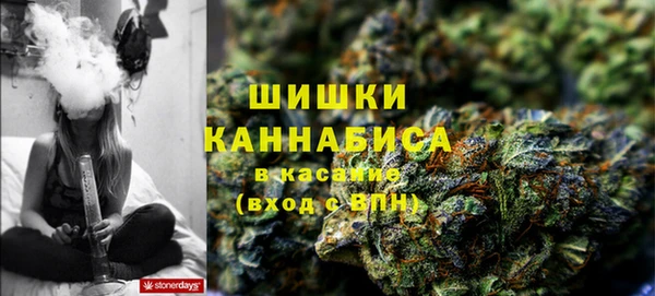 индика Осташков