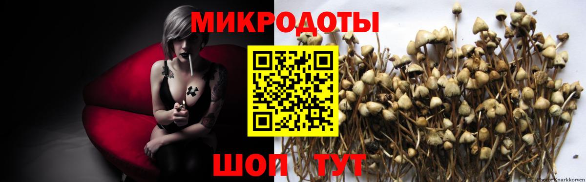 Галлюциногенные грибы MAGIC MUSHROOMS Полевской